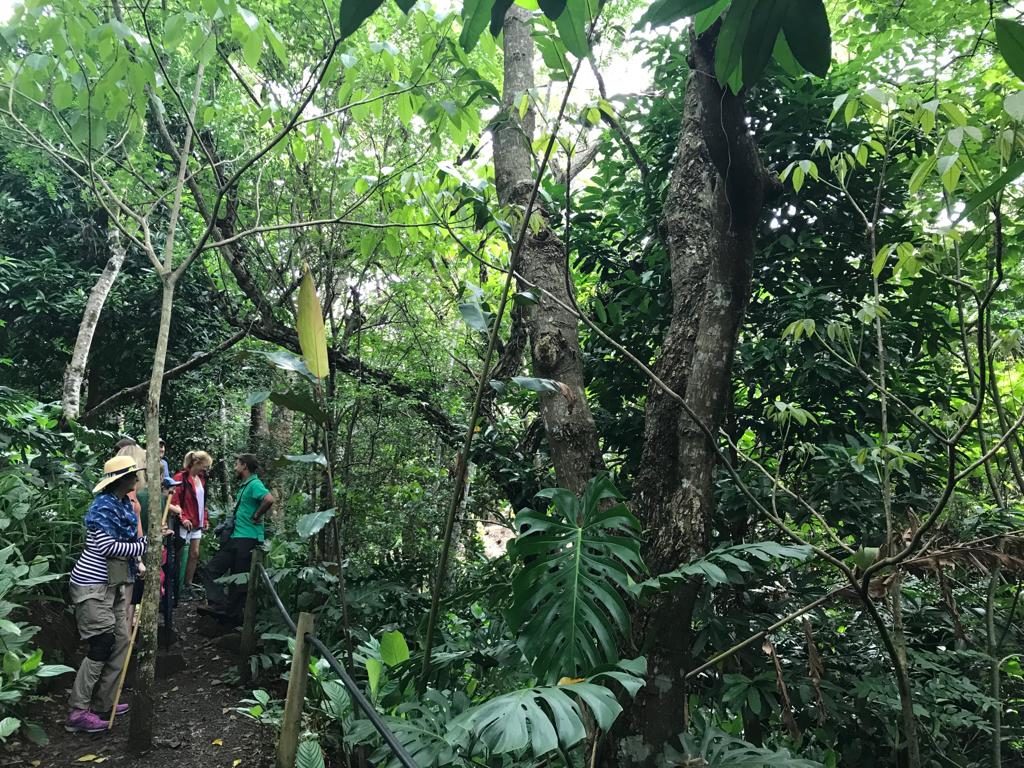 Costa Rica’s Finca Rosa Blanca: Paradise For The Conscious Traveler | Ibex Expeditions